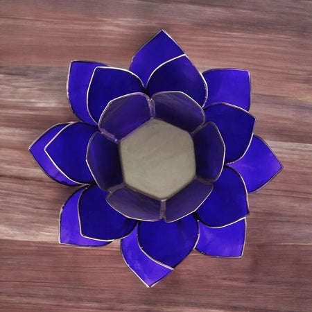 fiore di loto decorativo per intuizione e visione interiore