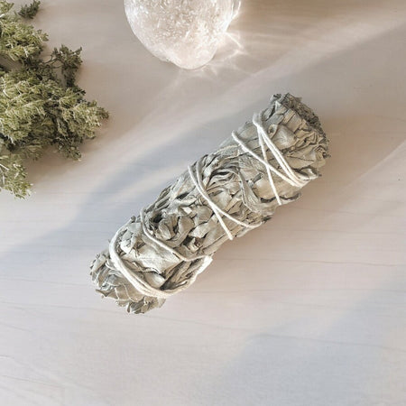 Mazzo di salvia bianca naturale da 25-30 grammi per rituali di purificazione energetica.