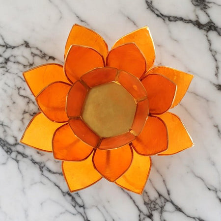 fiore di loto decorativo per creatività, emozioni e vitalità