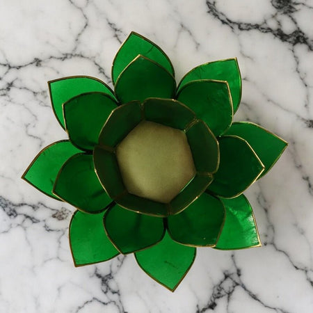 fiore di loto verde per meditazione e benessere emozionale