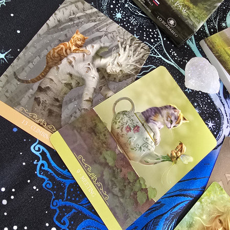 Oracoli Fantasy Cats